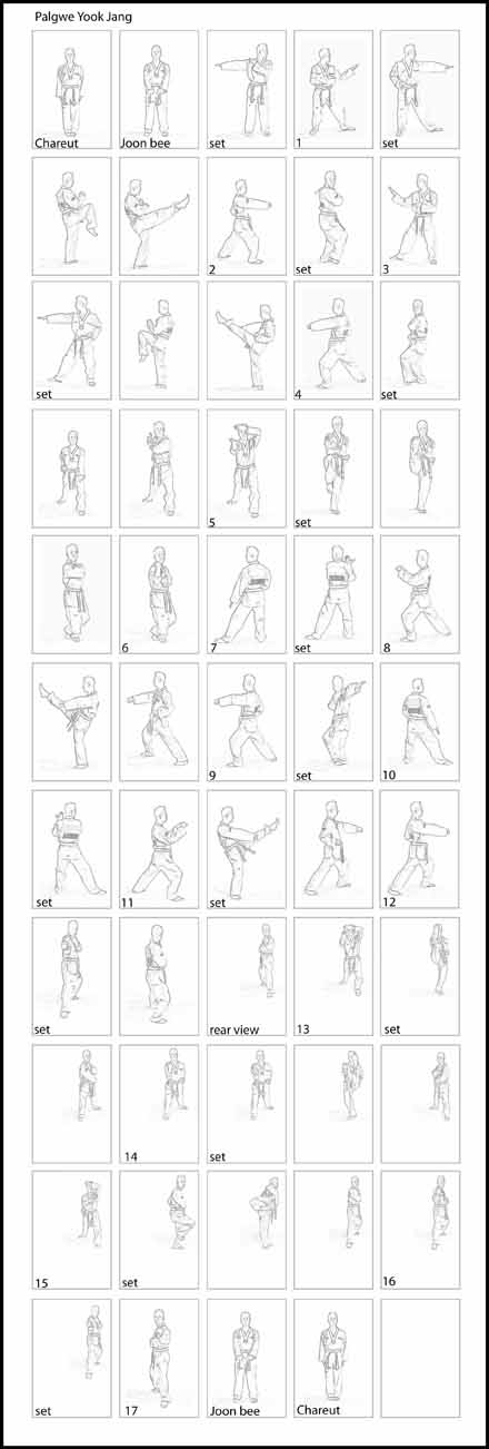taekwondo pdf techniques